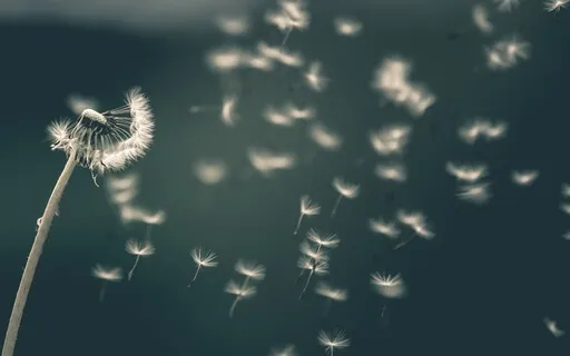 Mindfulness For The Workplace - Three Conscious Breaths