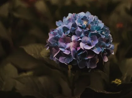 Mindfulness For Three Minutes