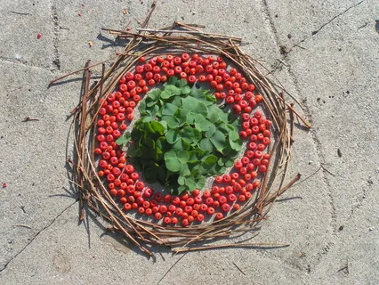 Mindfulness for Wholeness and Wisdom