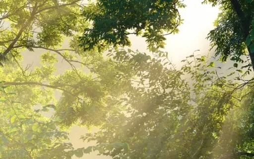 Mindfulness For Work - Navigating Uncertainty