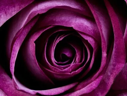 Mindfulness Full Body Scan Meditation