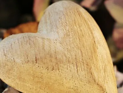 Mindfulness Gratitude Meditation