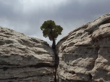 EnTrance Mini-Meditation #1Of 24 (15 Minutes)