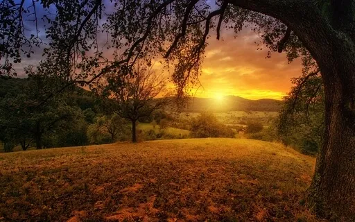 Mindfulness Guided Meditation Body Scan | Reset Your Body