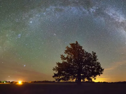 Mindfulness In Isolation - Day 11