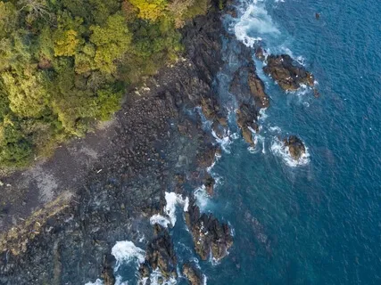 Mindfulness In Isolation - Day 16 - Nature