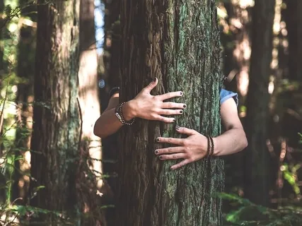 Mindfulness In Isolation Day 17 - Connect