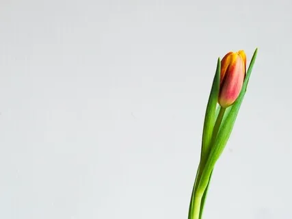 Mindfulness In Isolation Day 25 - Open Heart