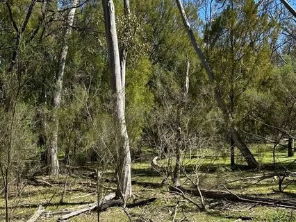 Mindfulness In Nature