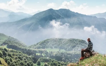 Mindfulness In The Probate Court