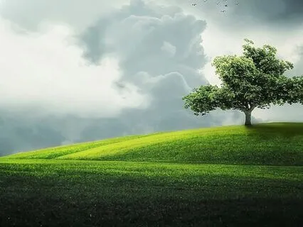 Mindfulness In Wicca