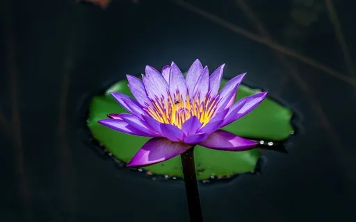 Mindfulness In Zen 432Hz (Alchemy Crystal Singing Bowls)