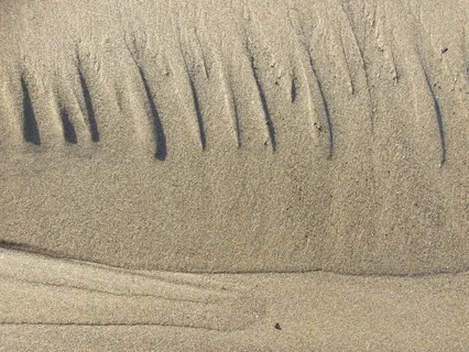 Mindfulness Is Built In