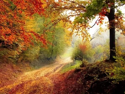 Prática Sentada com Foco na Respiração