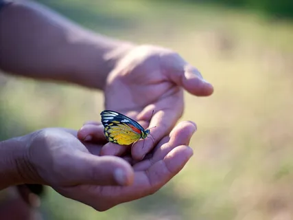 Mindfulness meditácia priestor pre dýchanie (breathing space)