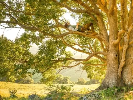 Mindfulness Meditasyonu 10dk