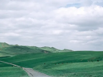 Traditional Mindfulness Meditation