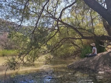 Mindfulness Meditation