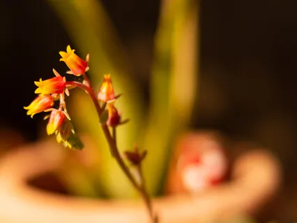 Mindfulness Meditation 