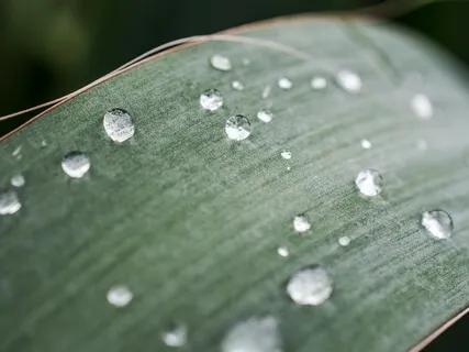 Grounding Using The 5 Senses