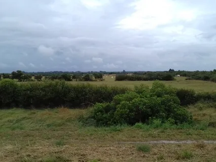 Mindfulness Meditation