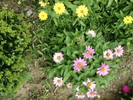 Mindfulness Meditation - Become The Witness To Self