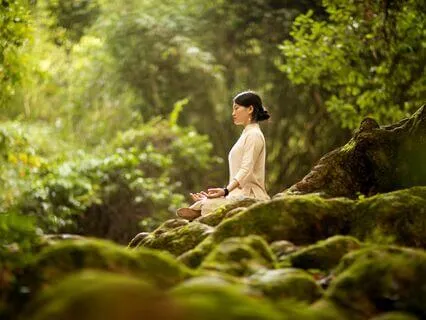Mindfulness Meditation: Cultivating Clarity And Insight