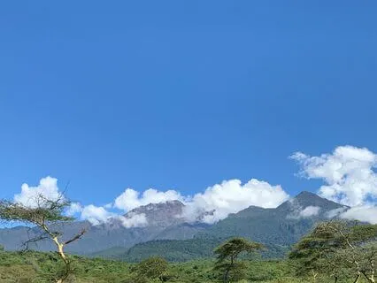 Mindfulness Meditation- Daily Practice