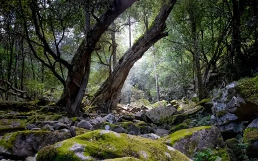 Mindfulness Meditation For Anxiety And Panic