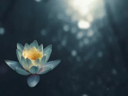 Mindfulness Meditation For Awareness