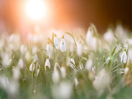 Mindfulness Practice To Become Fully Present