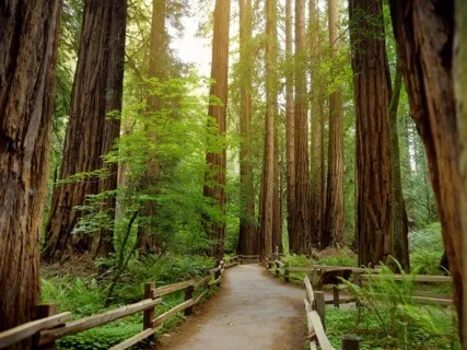 Mindfulness Meditation For Beginners