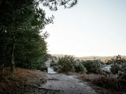 Mindfulness Meditation For Beginners | 6-Minute Meditation