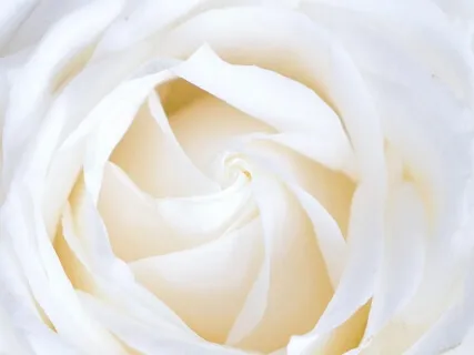 Mindfulness Meditation For Being Present Just Be Now