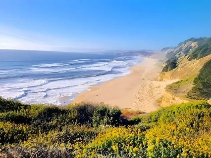 Mindfulness Meditation For Everyday Life