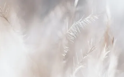 Mindfulness Meditation For Flowing With Life