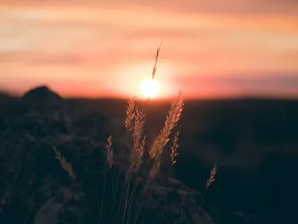 Mindfulness Meditation For Gratitude