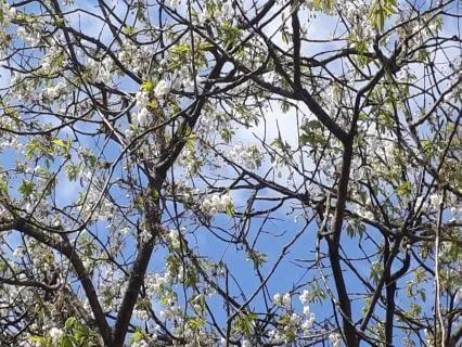 Mindfulness Meditation For Mornings