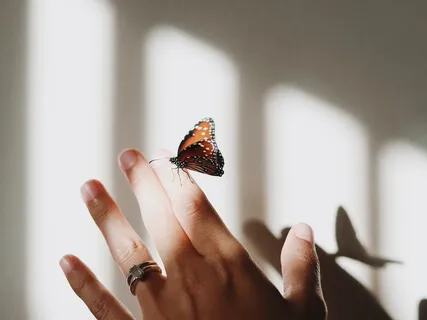 For Parents & Caregivers: Coping With Difficult Emotions