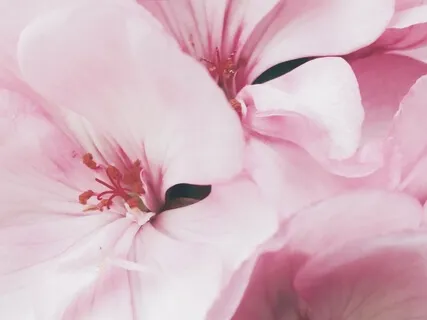 Mindfulness For Relaxation And Tension Release