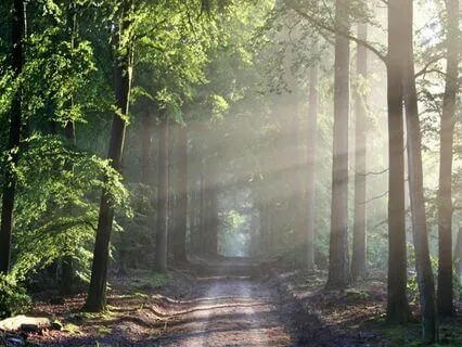 Mindfulness Meditation For Self-Compassion And Gratitude