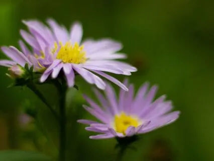 Mindfulness Meditation For Self-Compassion