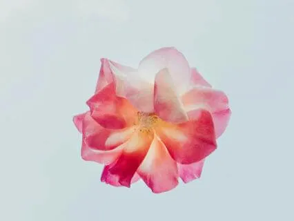 Mindfulness Meditation For Soothing The Nervous System