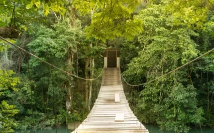 Mindfulness Meditation For Stress Relief