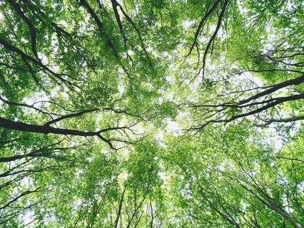 Mindfulness Meditation For Movement