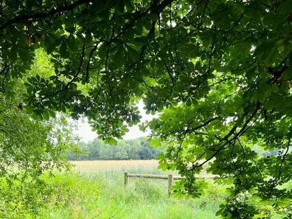 Mindfulness Meditation Of Breath