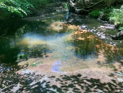 Mindfulness Meditation On The Noble Eightfold Path