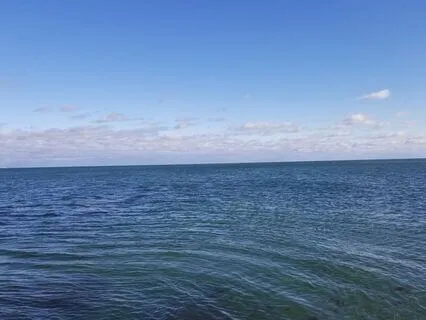 Mindfulness Meditation:  Release Your Mind, Relax Your Heart