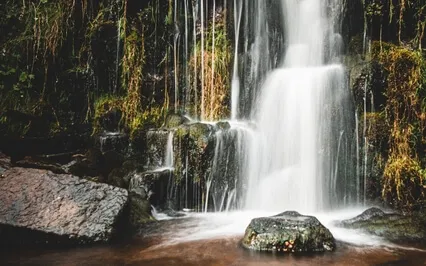 Mindfulness Meditation - Sensitising The Body To The Breath