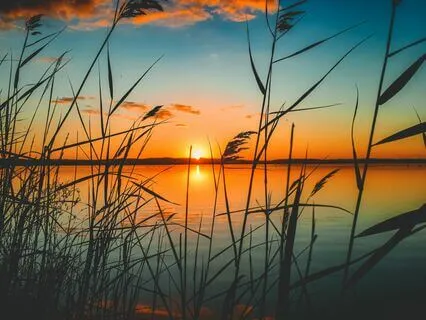 Mindfulness Meditation Suitable For Beginners